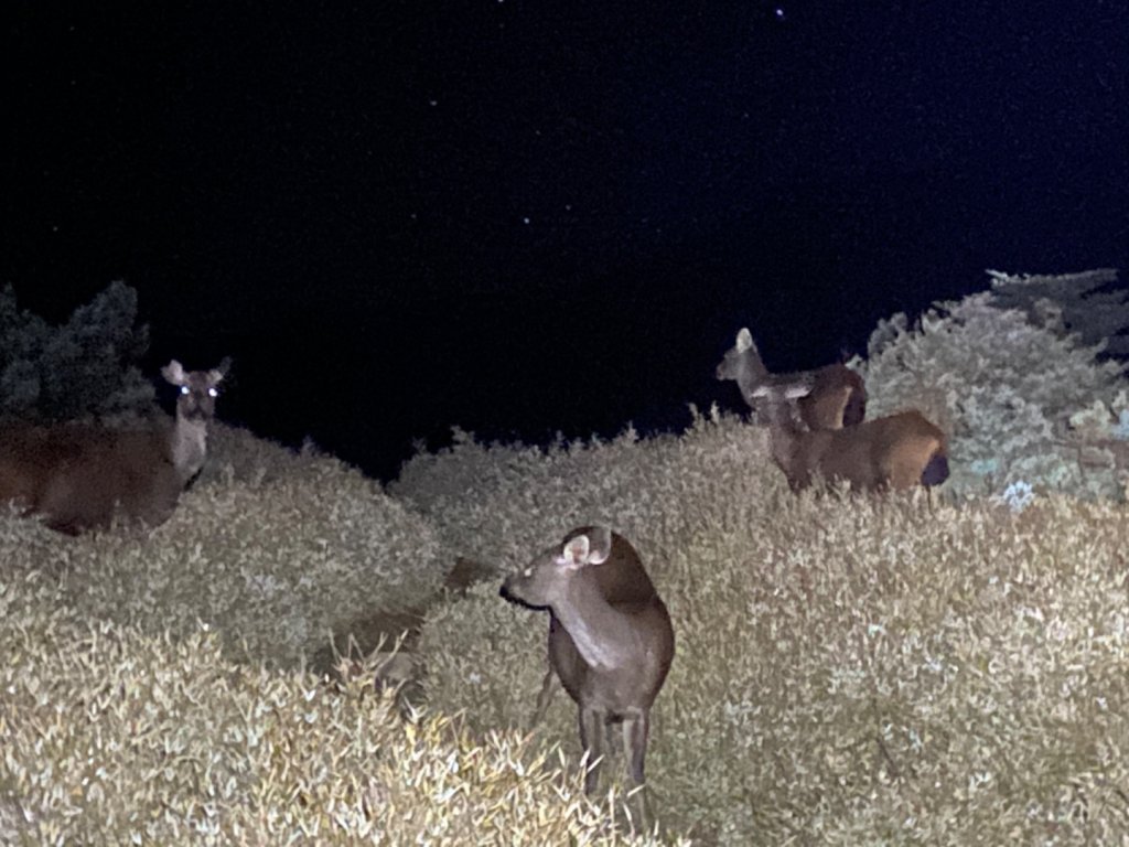 奇萊主北_1617397