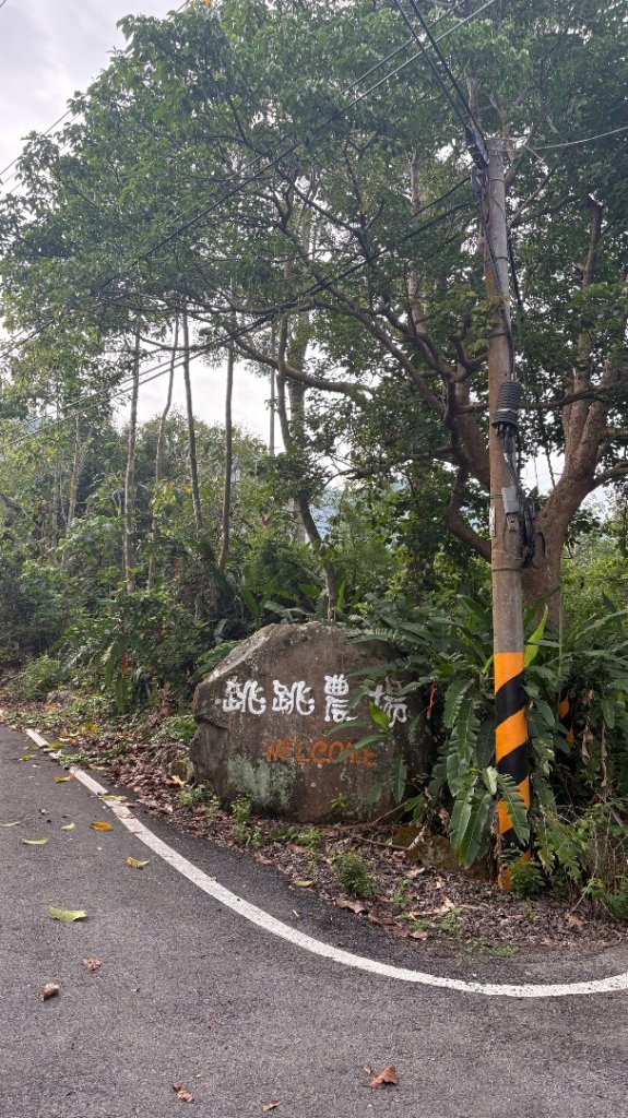 三腳南山_2799522