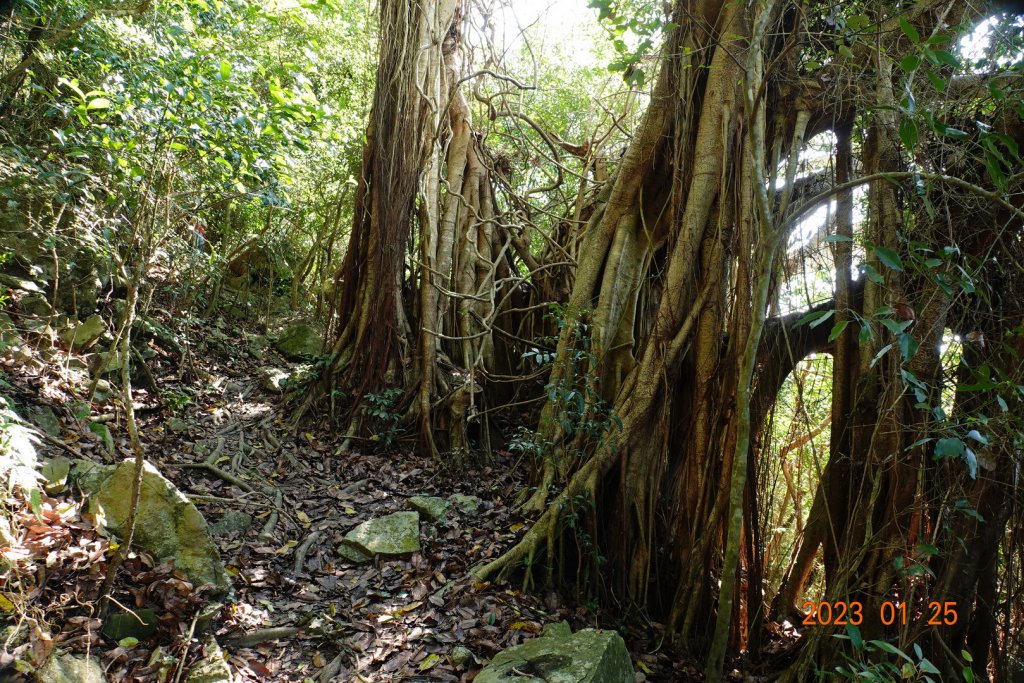 屏東 恆春 大山母山_2015142