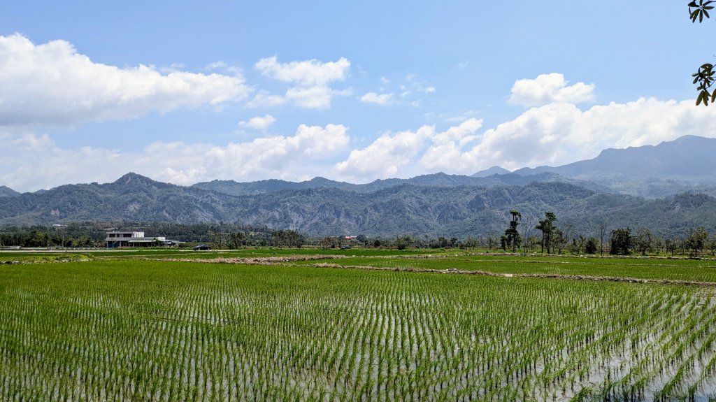 鹿野高台,關山濕地_2467002