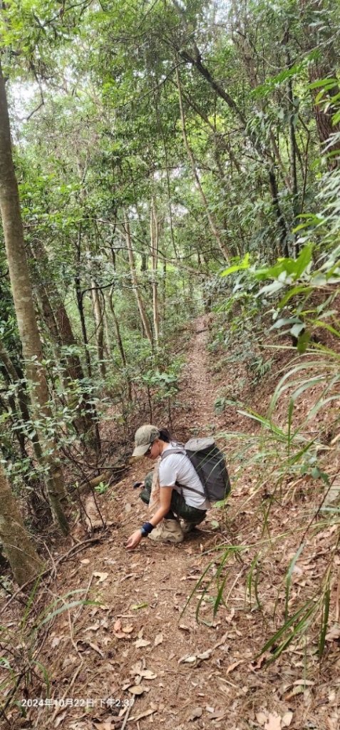 東卯山之谷關七雄_2635173