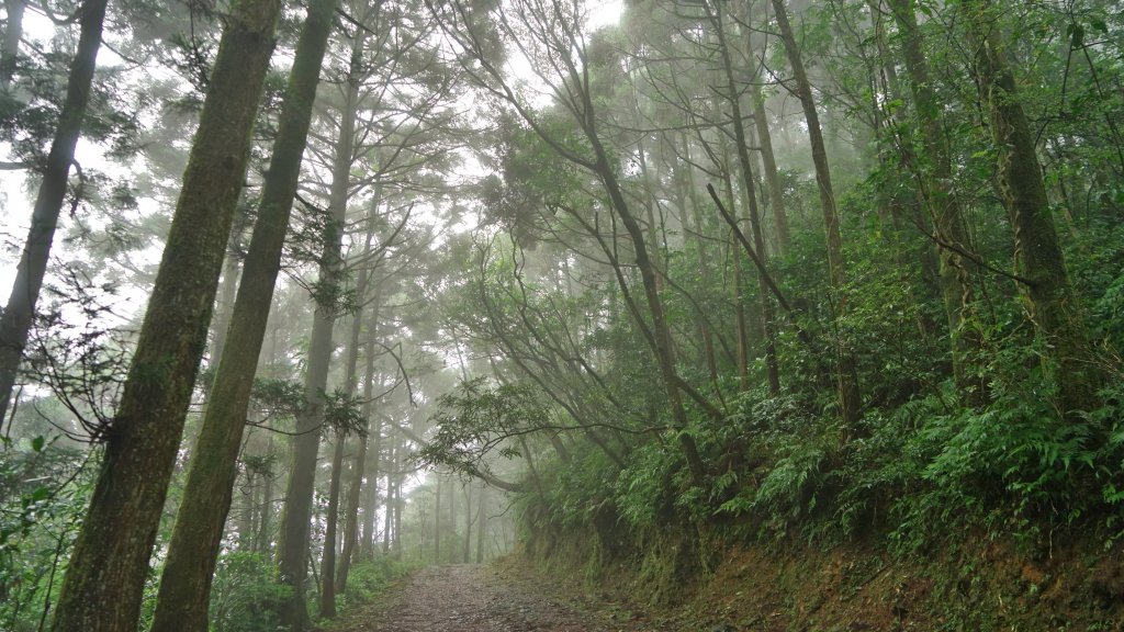 20201117坪溪古道_1495999