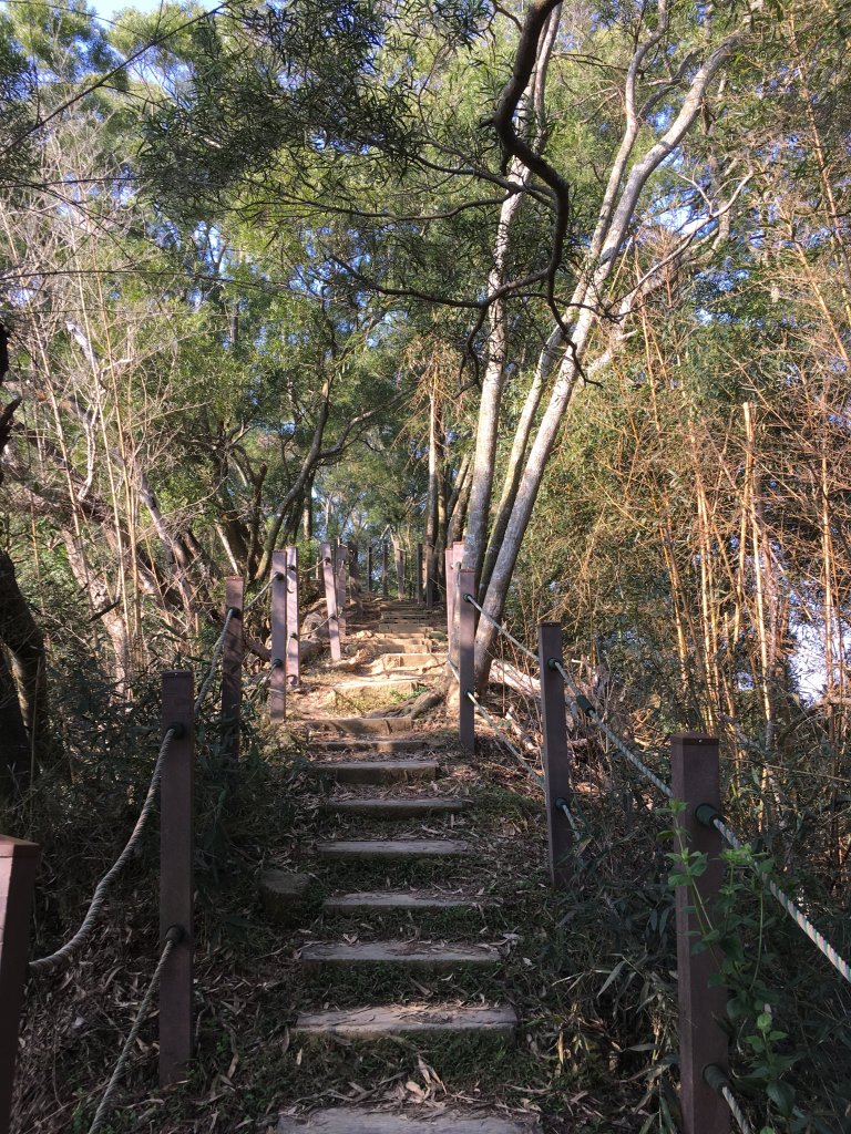 20220205-聚興山_1601567