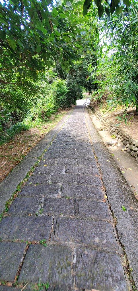 2024-06-15觀音山【福隆山、尖山(占山)登山步道】O走_2528193