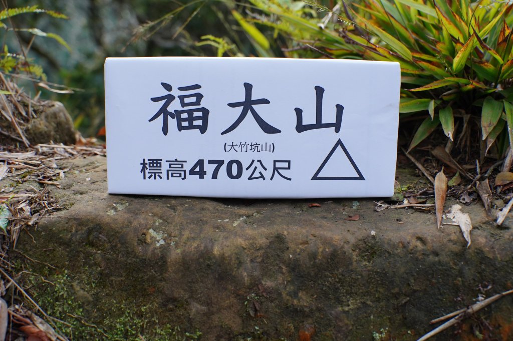 新竹 關西 福大山、彩和山、高甫山_2988278