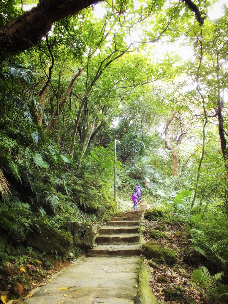 白鷺鷥山_12980