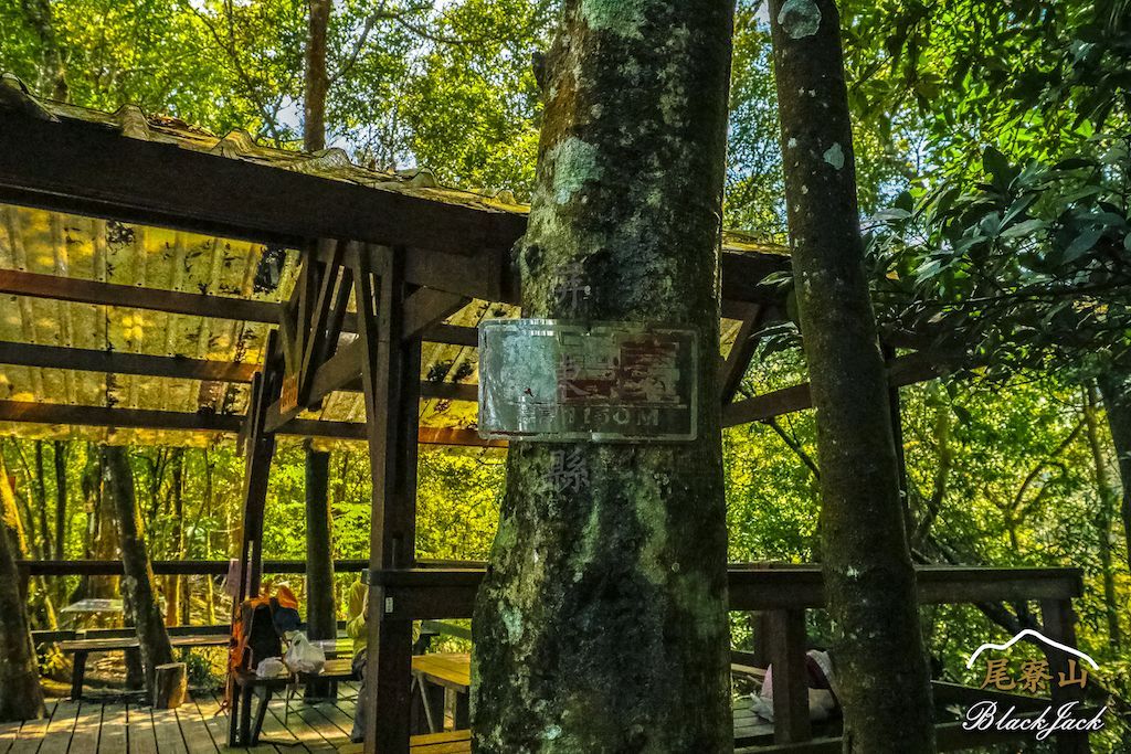 學霸同行尾寮山_295280