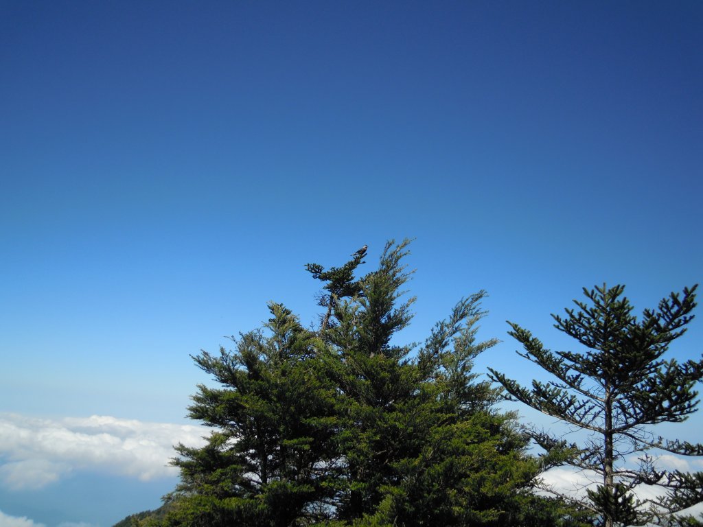 郡大山、望鄉山單攻20131019_1961536