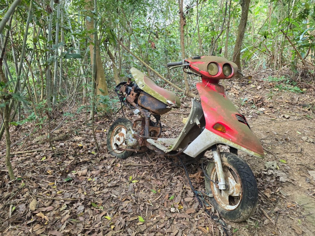 林牛山+聚興山封面圖
