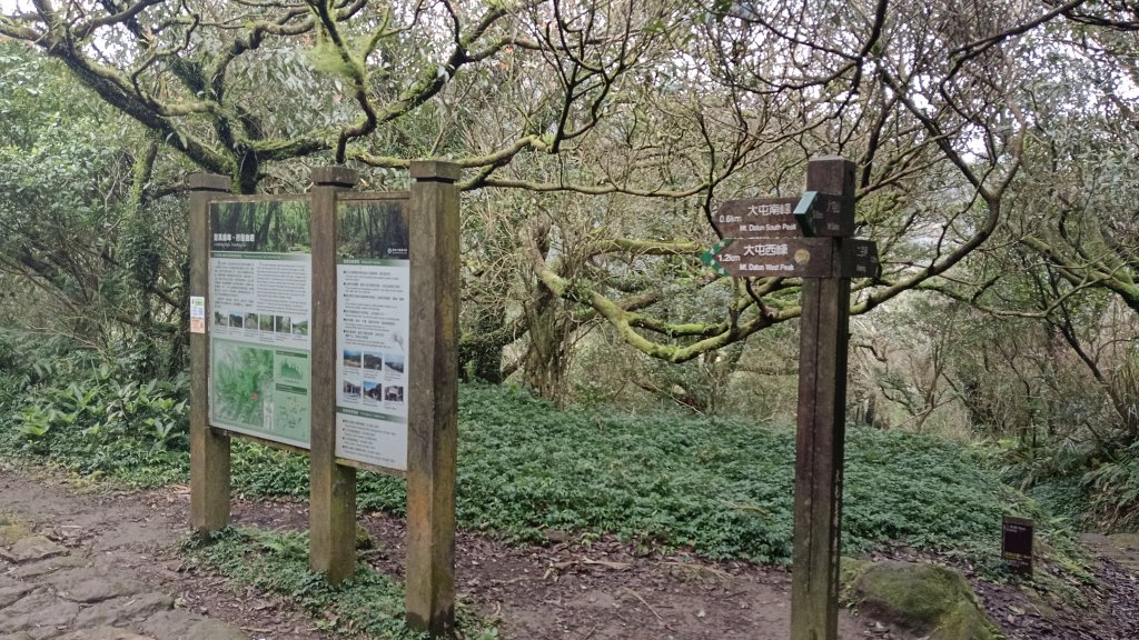 大屯山環狀_2114335