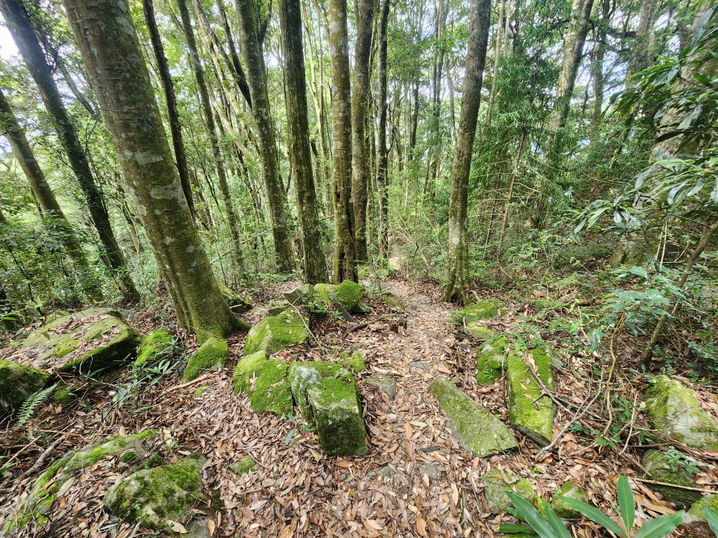 20250831鳶嘴稍來_2928621