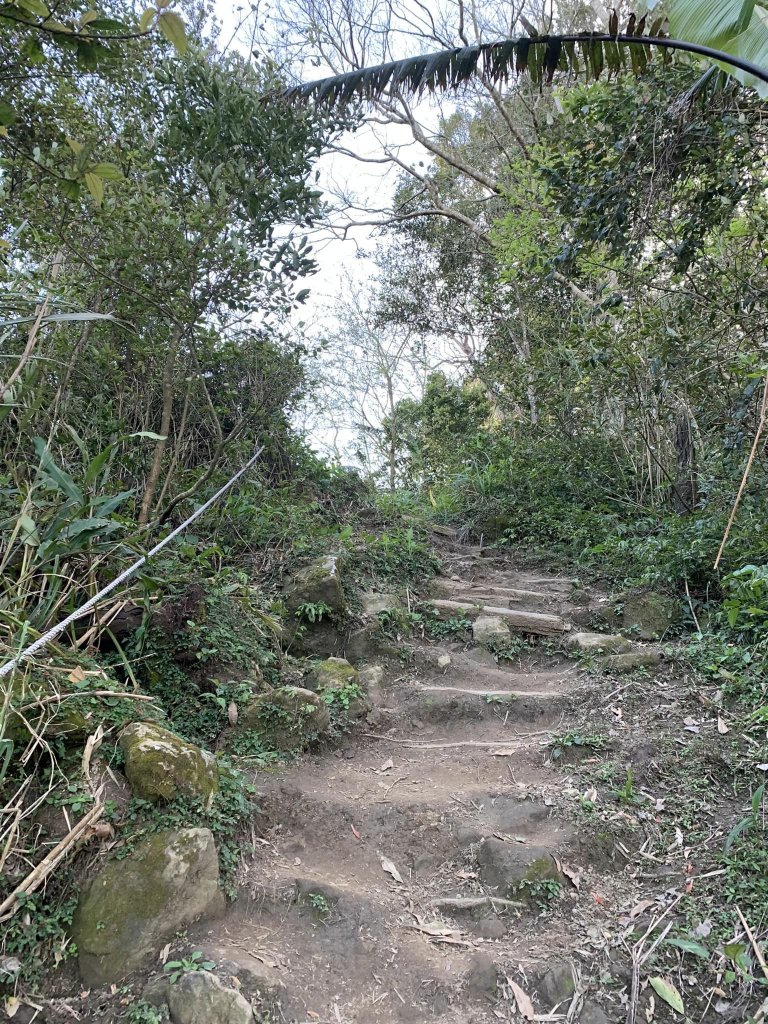 苗栗關刀山（小百岳）_2039902