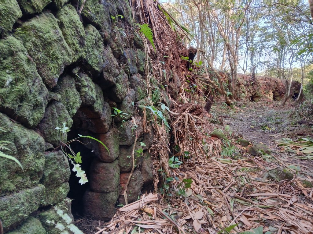 雙溪區大平林山+后番子坑古厝+后番子坑山+武山煤礦事務所+焦炭窯O型封面圖