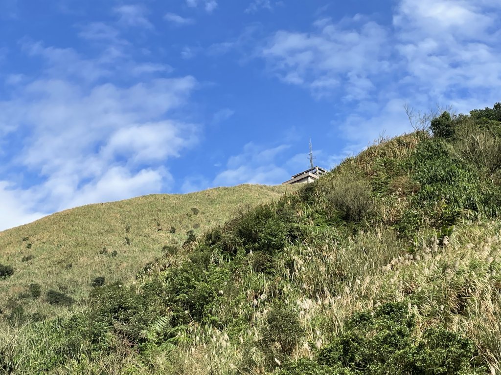 黃金十稜 龍洞稜 和美山登草山_1220913