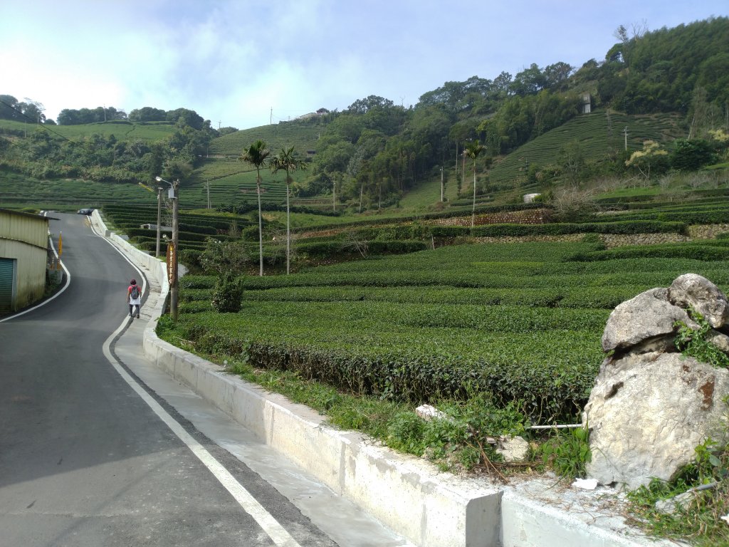 2020-2021 後棟仔 大尖山 二尖山_1527136