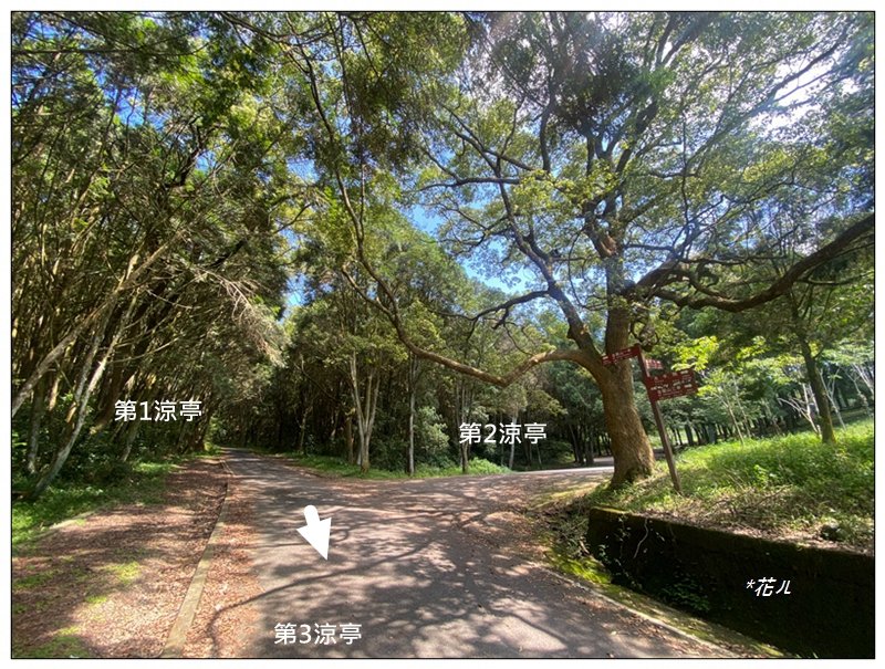 槌仔寮山、槌仔寮山西南峰、金龍山步道 連走_2846695