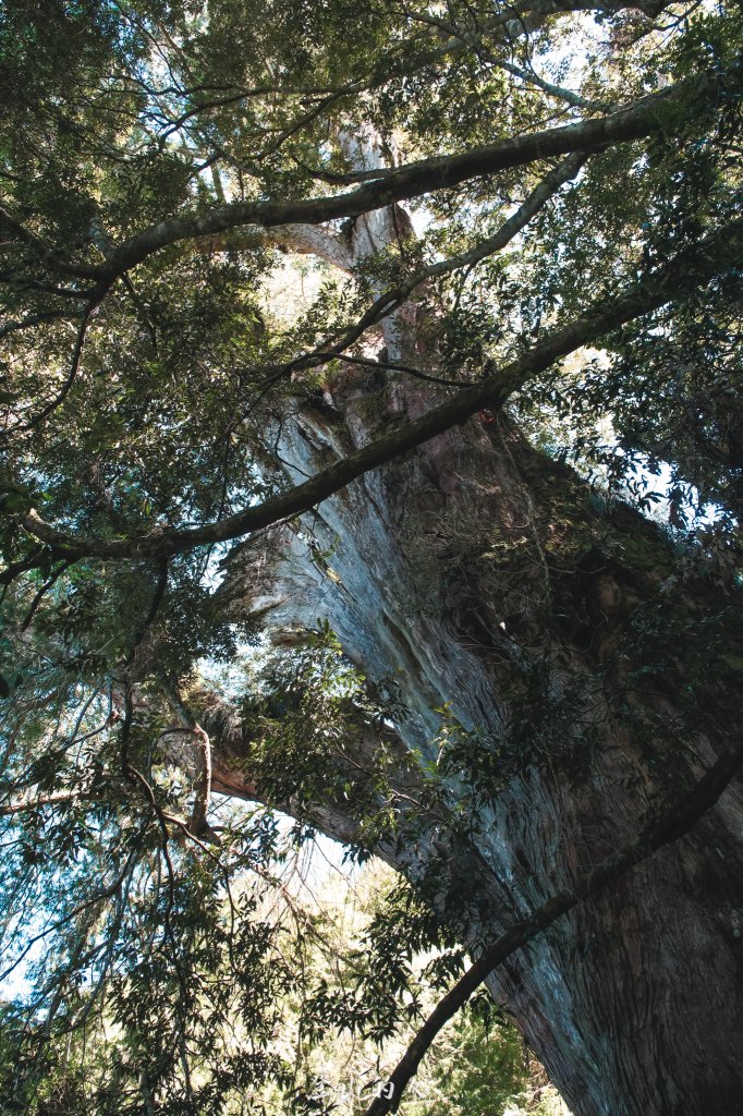 霞山鐵道野營_2843064