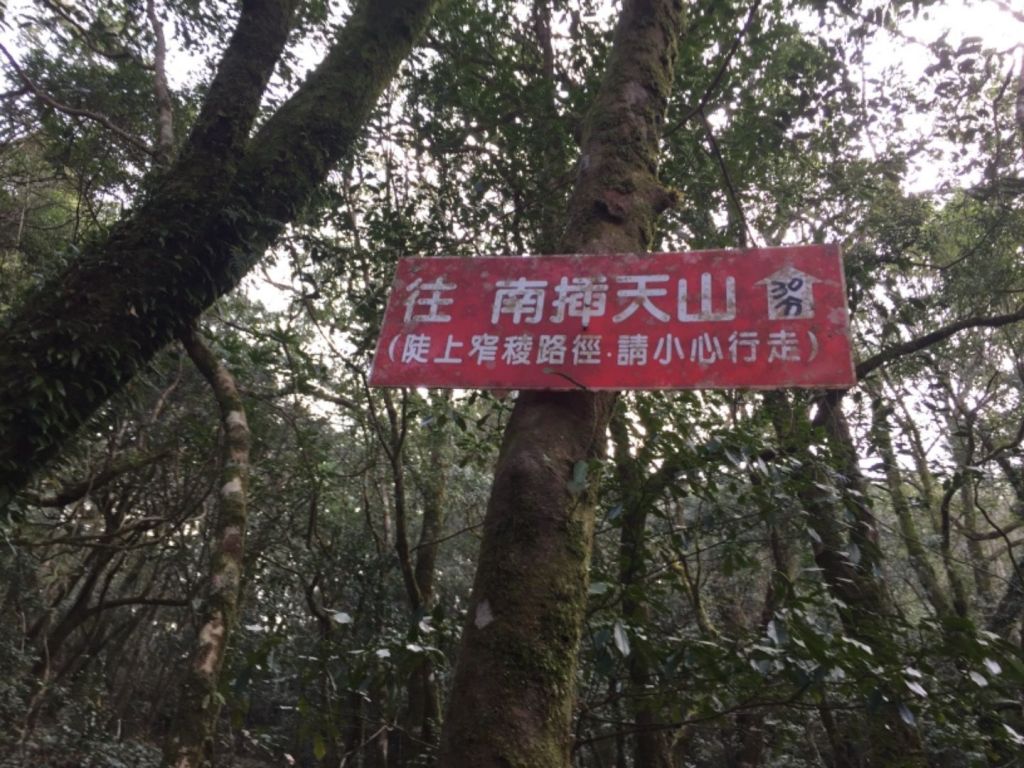 南插天山-待矢負山_291376