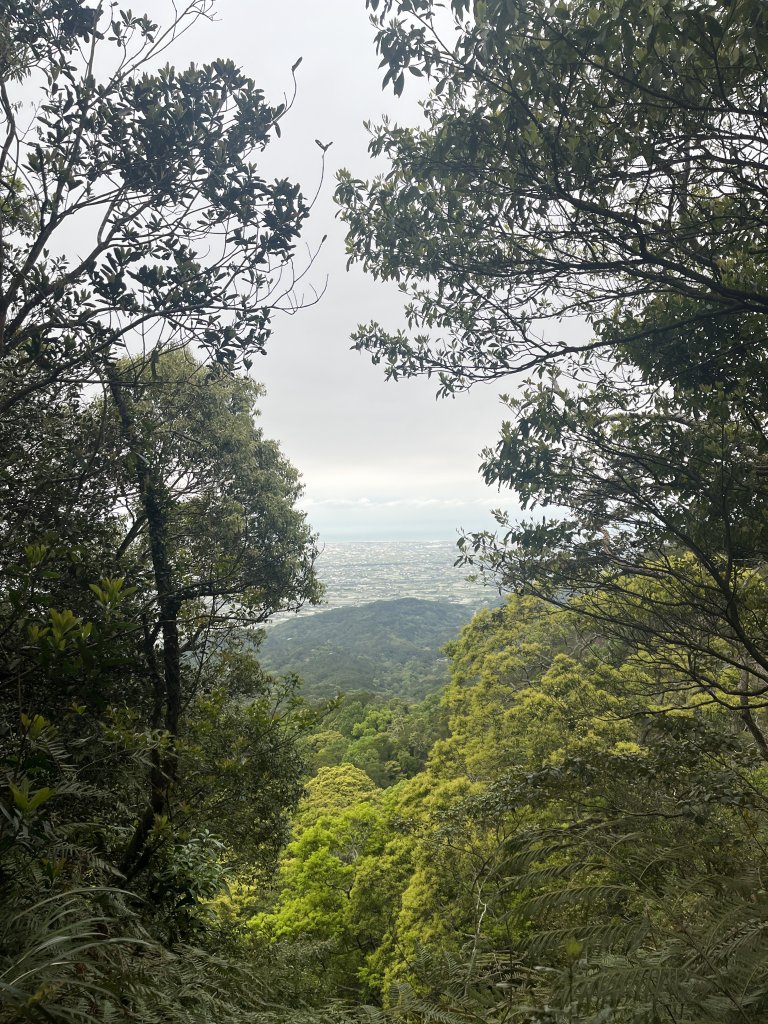 2024/03/29火炎山_2749038