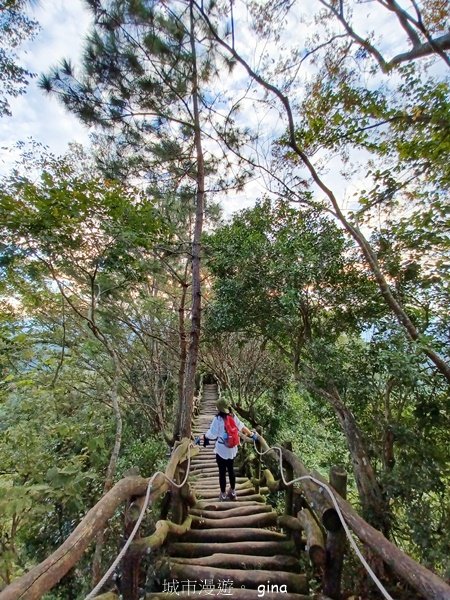 【台中北屯】第一次遇上大坑步道群起霧。 大坑三號步道_2695142