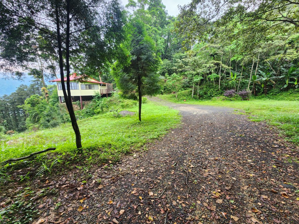 20250427大山背山田寮山毬子山騎龍山_2933639