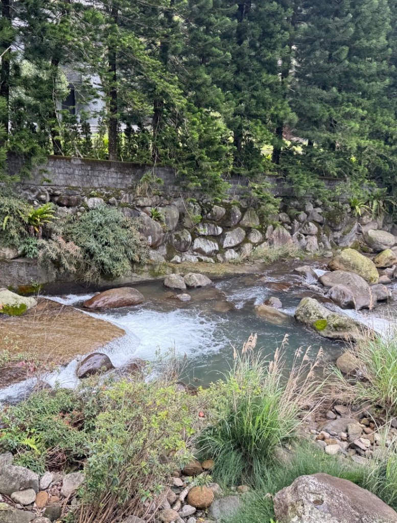 台北縱走第四段訪雙溪山 梅花山與西峰南峰西南峰 碧山_3012824