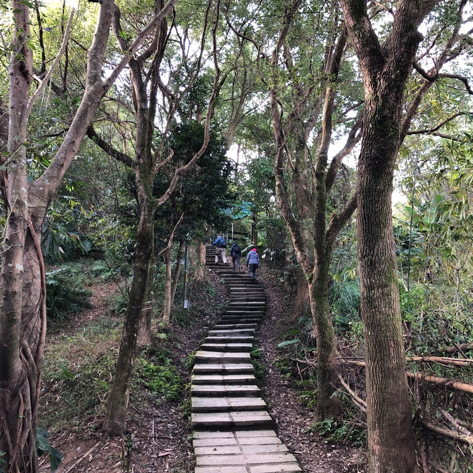 走入山林，看見美麗山景—新店小獅山_1239692