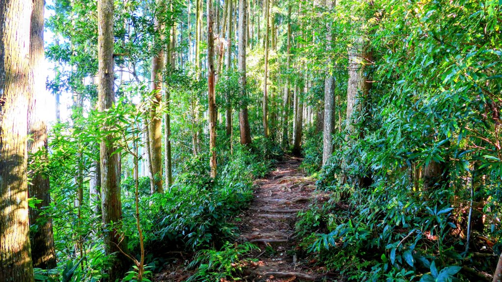 油羅山(一上三下)_2959119