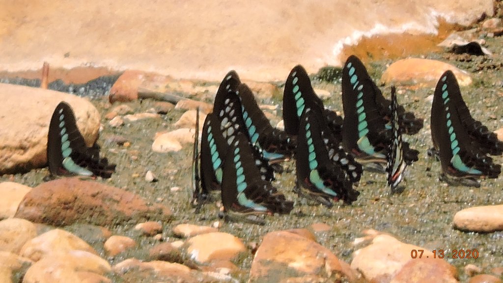 就是喜歡這個藍天白雲的FU_1032028