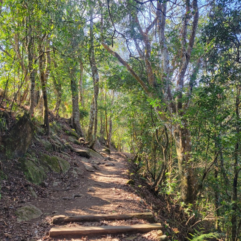 馬那邦山、細道邦山（小百岳）_2435562