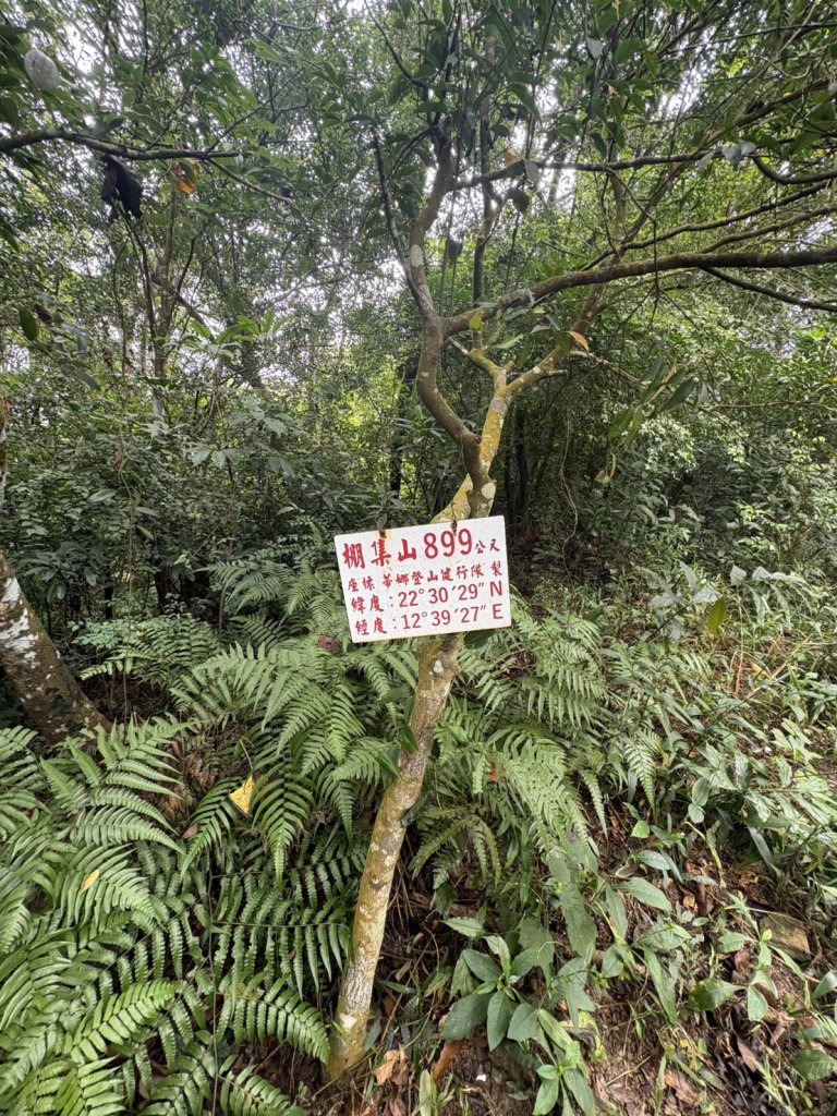 20251109棚集山步道封面圖