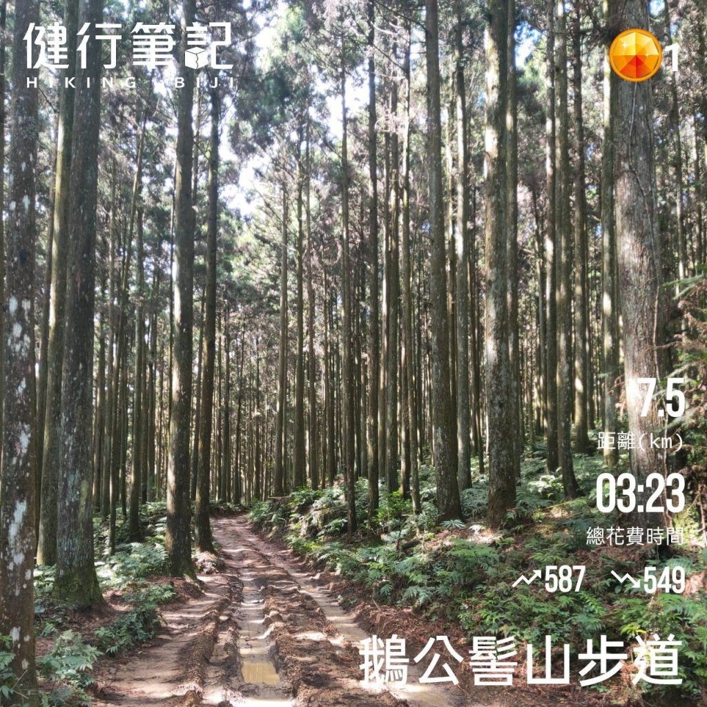 小百岳(31)-鵝公髻山-20220405封面圖