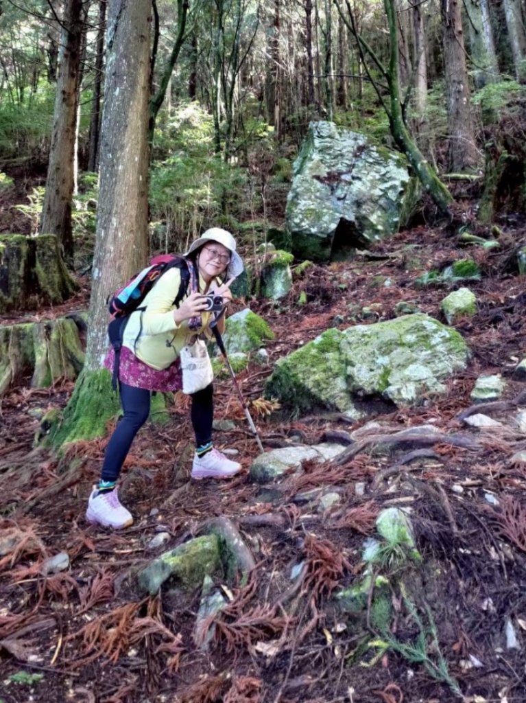 觀霧-榛山步道_2926043