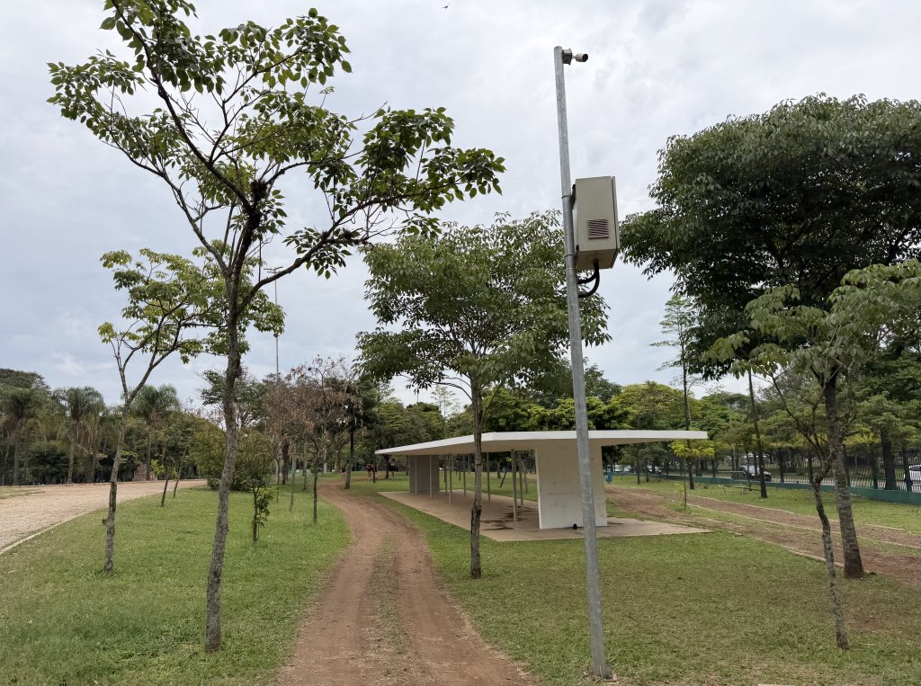 [紐約馬之行-67] 2025_1116 伊比拉布埃拉公園-上_2955034