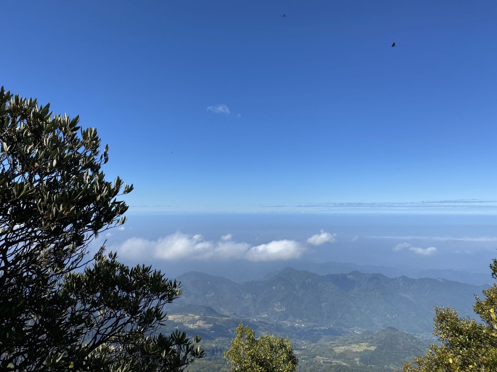 苗栗-加里山 杜鵑嶺_869131