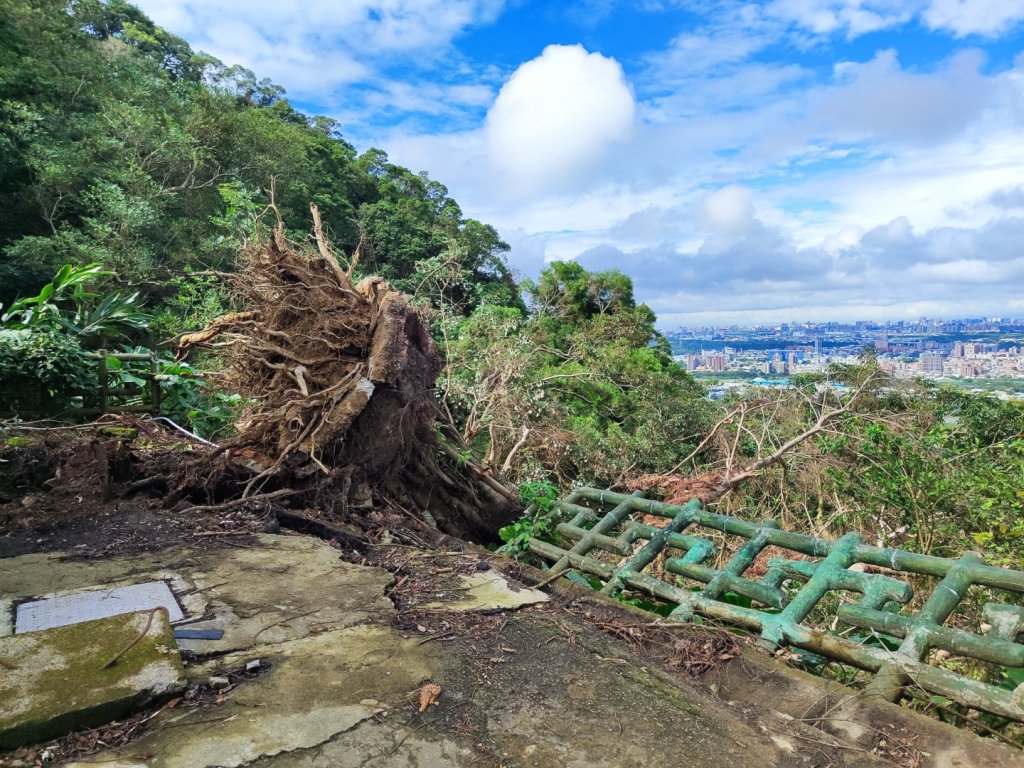 三峽鳶山_2651440