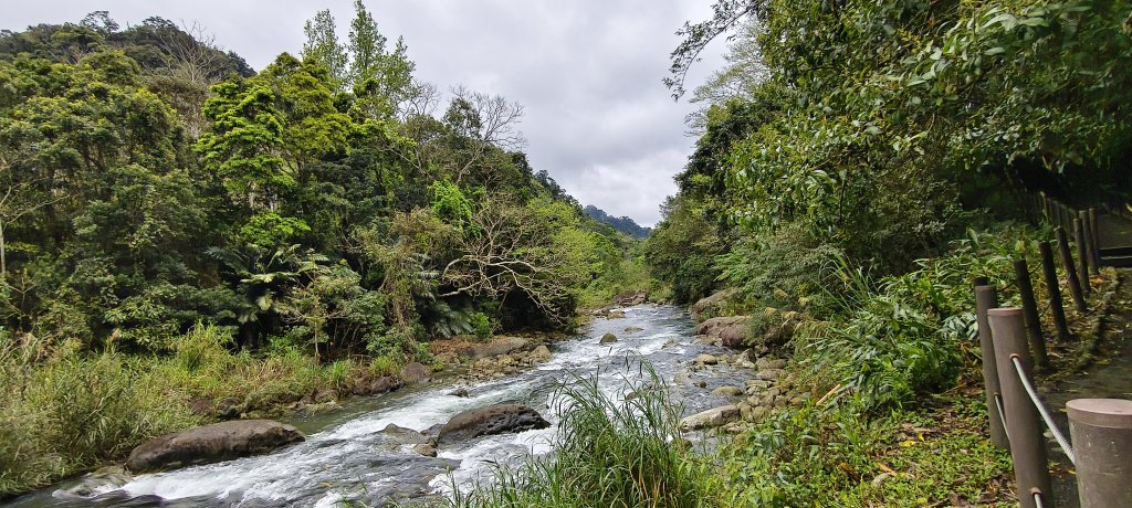 2025/03/16_蓬萊溪護魚步道+萊園坪山封面圖