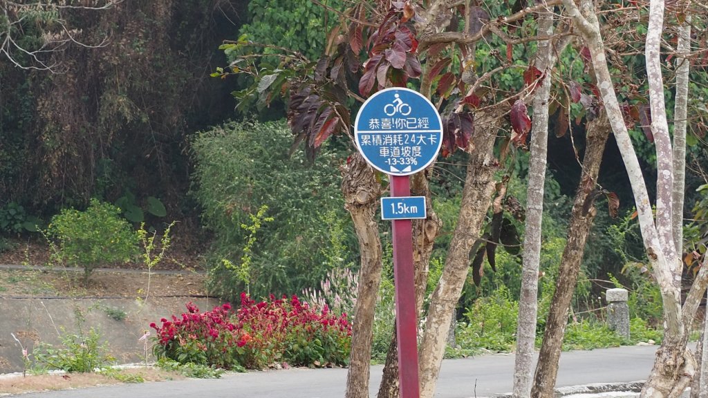 《南投》河岸賞鳥｜竹山下坪步道及自然教育園區O繞20230225_2042222