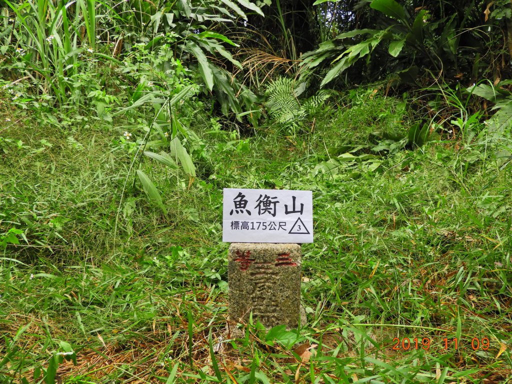 新北 深坑 魚衡山封面圖