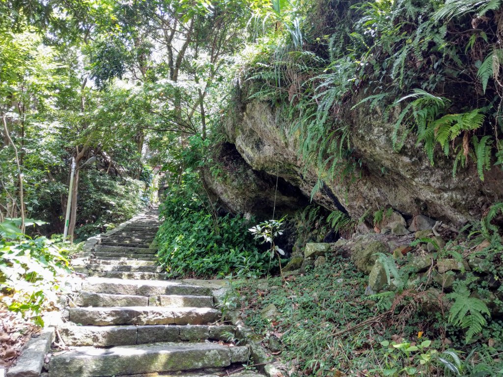 《觀音山步道》福隆山步道、硬漢嶺步道、楓櫃斗湖步道、林梢步道 (2020/8/16)_1433274