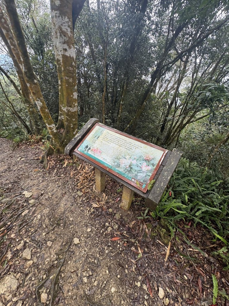 20251227尾寮山登山步道_2970542