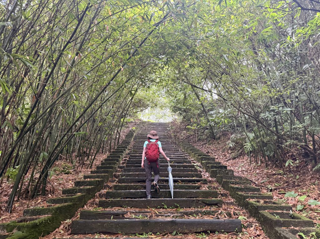 二格山 2025.07.20_2864213