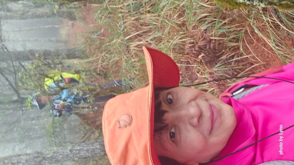 武陵四秀_2470548