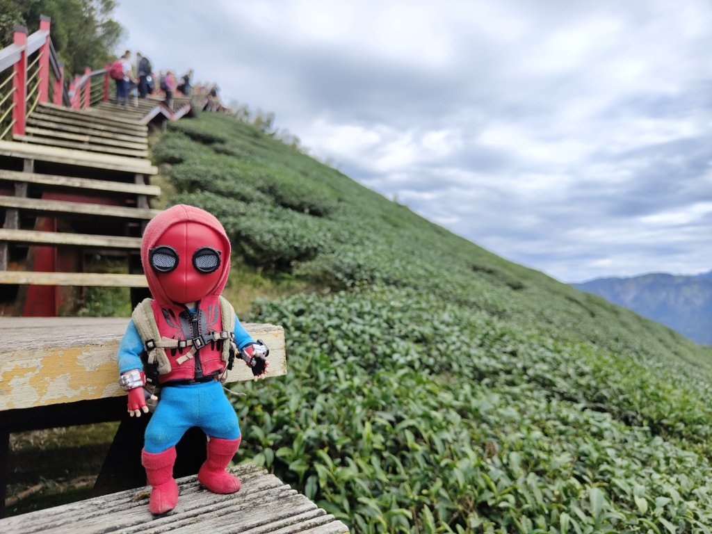 2023.12.30 雲嘉大尖山封面圖