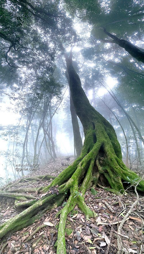 古坑嘉南雲峰.好望角.石壁山O形_1500456