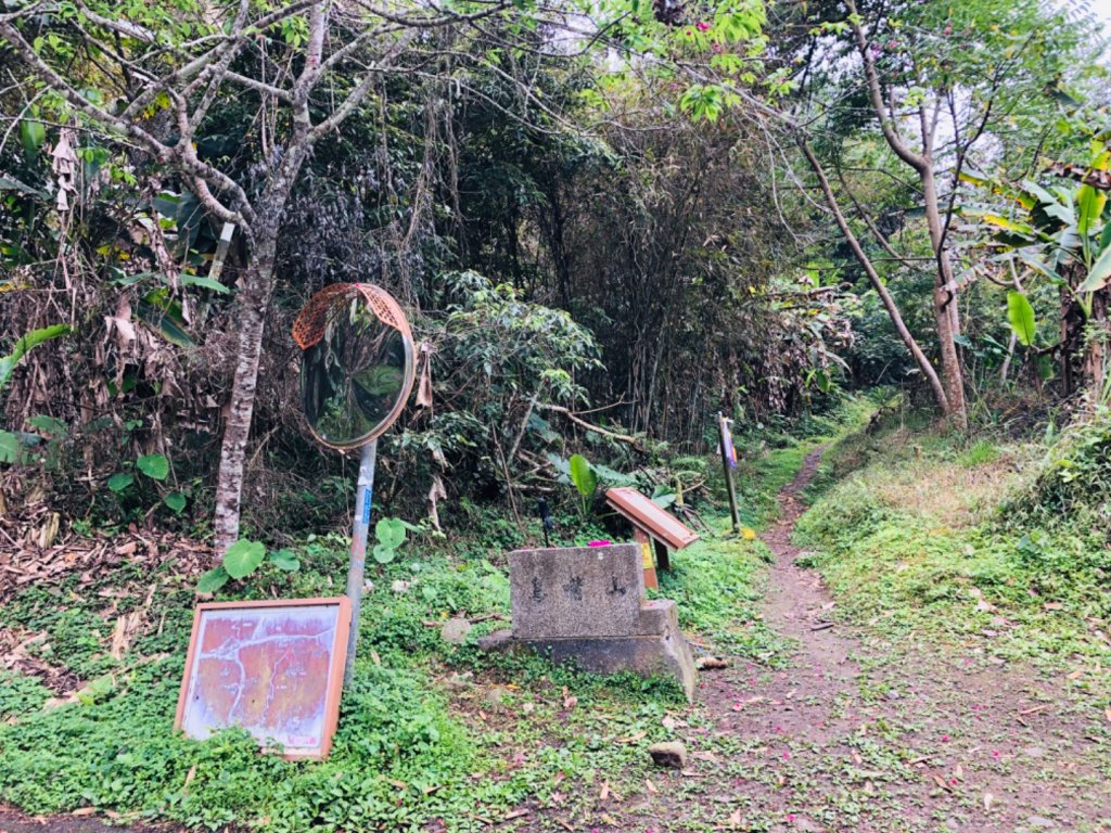 1090307上島山_870933