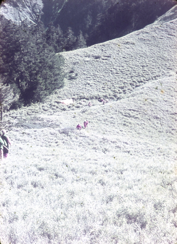 合歡賞雪登山一1971、4月初_26953