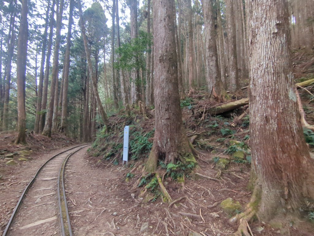 2026.02.14－特富野古道_3013704