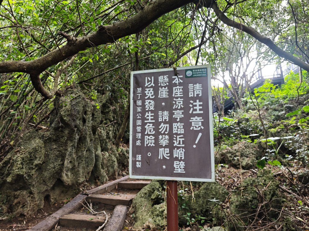 [百山百鳥尋旅-02/15] 2025_0809 社頂自然公園步道_2856982