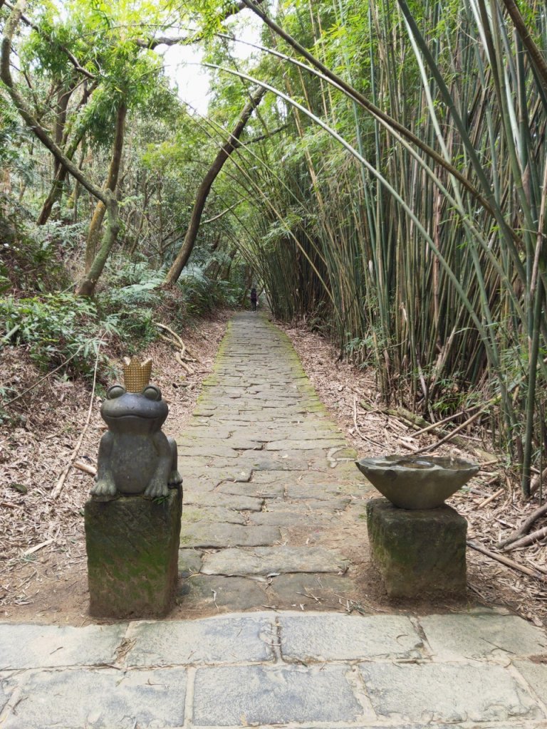 小百岳(8)-大崙頭山-20230227_2069664